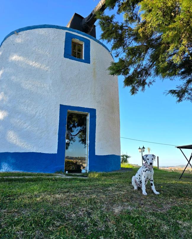 Casal Do Moinho Villa Enxara do Bispo Exteriör bild